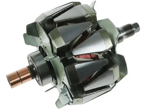 Rotor, alternator