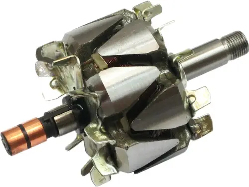Rotor, alternator