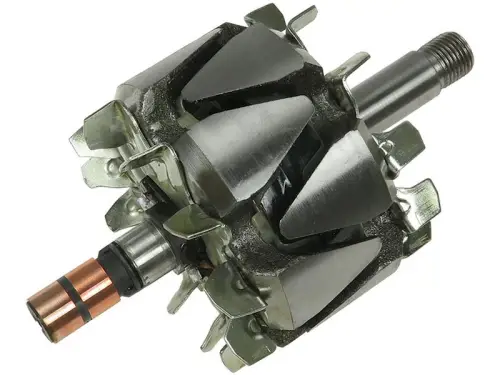 Rotor, alternator