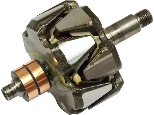 Rotor, alternator