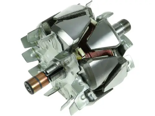 Rotor, alternator