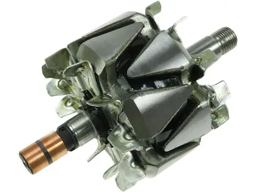 Rotor, alternator