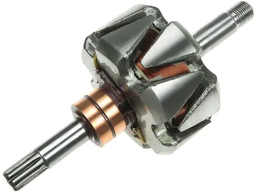 Rotor, alternator