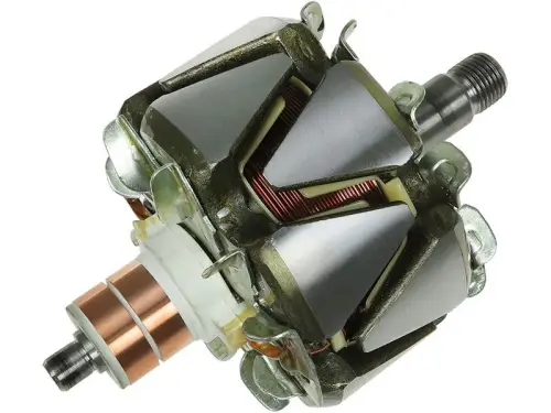 Rotor, alternator