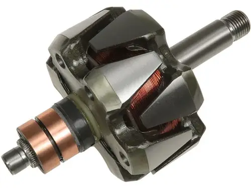 Rotor, alternator