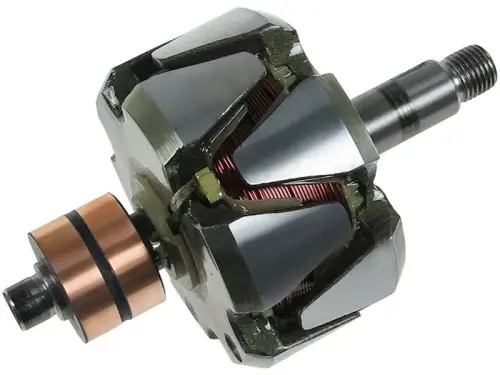 Rotor, alternator