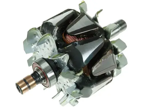 Rotor, alternator