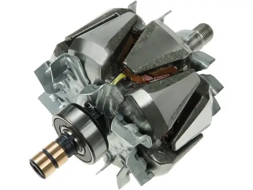 Rotor, alternator