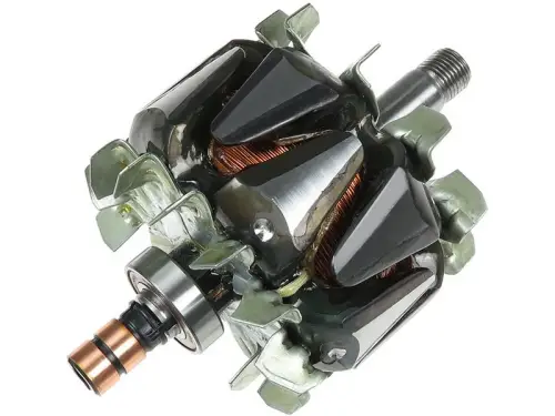 Rotor, alternator