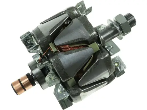 Rotor, alternator